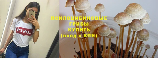 спайс Новозыбков