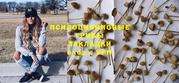 гидропоника Алзамай