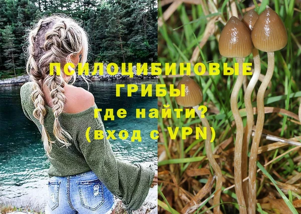 а пвп мука Алексеевка