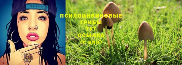 гидропоника Алзамай